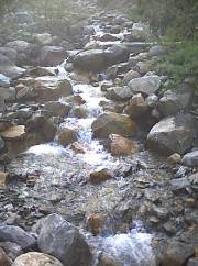 Near Mt. Edith Cavell, a babling brook...  